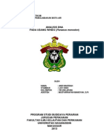 Download Analisis DNA by Andi Masriah SN140607535 doc pdf