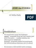 Metabolisme Dan Energi