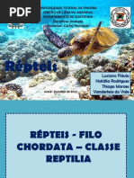 ZOO - Natália- PRONTO