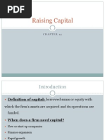 Raising Capital (Ch15)