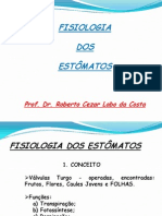 2 Fisiologia Dos Estomatos 2011 Unidade 1 Parte 2