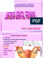 Sistema genital feminino - órgãos e funções