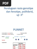 Download 5 Pendugaan Rasio Genotipe Dan Fenotipe Polihibrid Chi Square by Rose Novita Sari H SN140717025 doc pdf