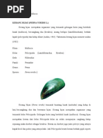 Download Laporan Avertebrata - Mollusca Kerang Hijau by Ratna Endah SN140724456 doc pdf