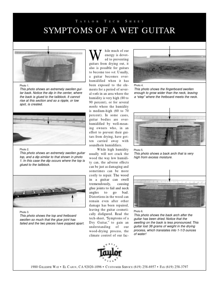 Wet Guitar PDF Guitars Irish Musical Instruments