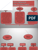 Mapa Conceptual