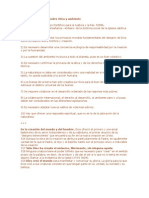 Decalogo Catolico Sobre El Medio Ambiente