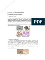 Plasmodium