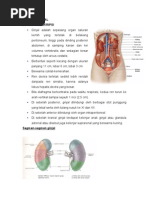 Download makalah faal by Viny Octofiad SN140730776 doc pdf