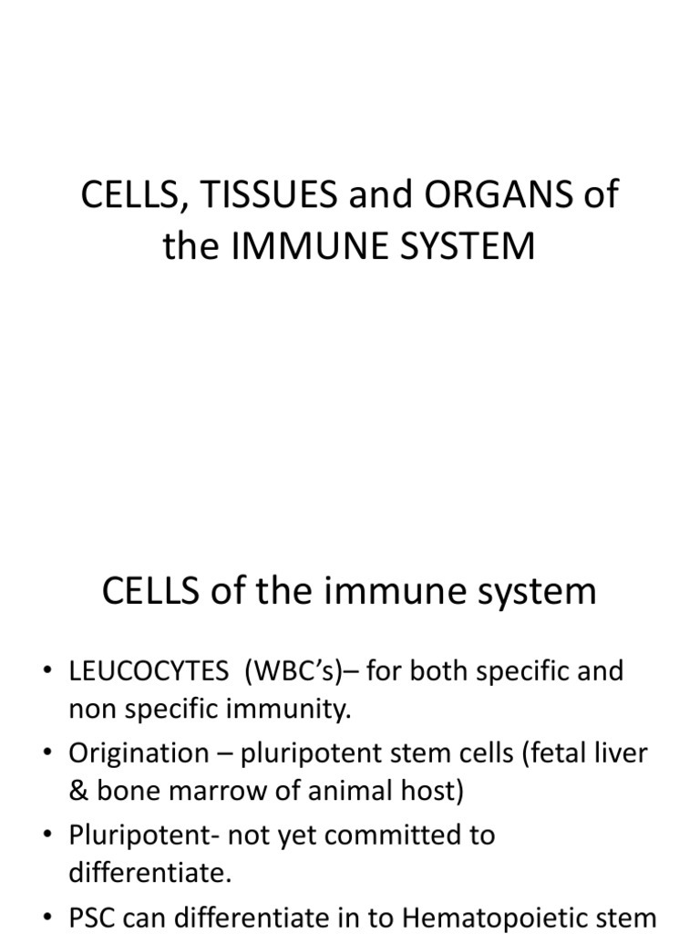 Immune System Cells and Organs Overview | PDF | Lymphatic System | B Cell