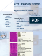 Chapter 9 - Muscular System: Three Types of Muscle Tissues