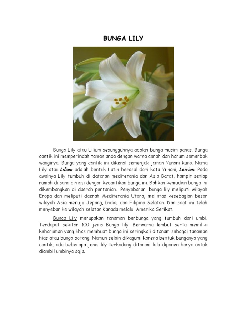 Bunga | PDF | Griya & Taman | Sains & Matematika