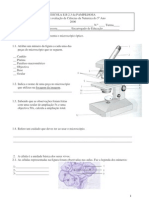 Classificacao Seres Vivos_FICHA de TRABALHO