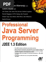 Professional Java Server Programming