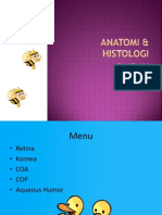 Anatomi Dan Histologi Retina, Kornea, COA, COP, AH-Mei