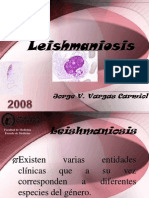 13 Leishmaniosis