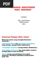 Download Cemaran-pangan-oleh-mikotoksinppt by Airi IsDjarie SN140789505 doc pdf