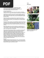 Download Lansium_domesticum by Arif Syaifullah SN140794581 doc pdf