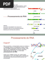 Processamento Do RNA