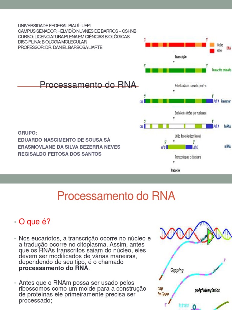 Ilustração 3D De Uma Cadeia De RNA Mensageiro Ou MRNA Com Espaço Para  Texto. Genética, Ciência, Investigação Médica, Replicação Do Ilustração  Stock - Ilustração de molecular, estrutura: 207054080, image size:768x1024