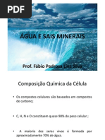 AULA 2 - BIOQUÍMICA - ÁGUA E SAIS MINERAIS 1 (1)