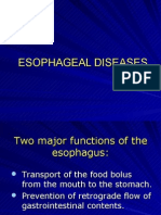 Copy of Esophageal Diseases Imag.