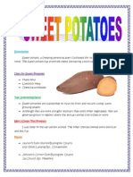 Sweet Potato CM