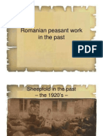 Romanian Peasant Work