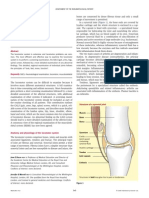 Locomotor Exam