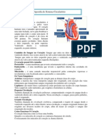 Apostila Do Sistema Circulatório e Exercicio