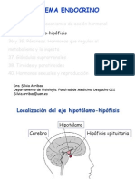 hipotalamo hipòfisis