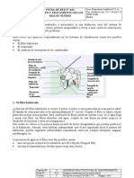 Origen y Tratamiento de Los Malos Olores