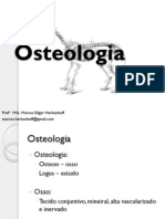 2 Aula - Osteologia