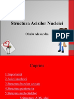 acizi nucleici