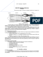 Combustibles