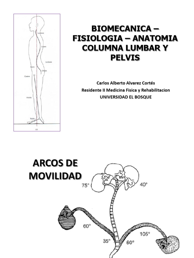 Biomecánica de la Columna Lumbar y Pelvis | PDF | Tejido suave | Abdomen