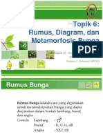 Rumus - Diagram Dan Metamorfosis Bunga