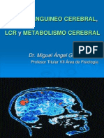 Flujo Sanguíneo Cerebral, LCR y Metabolismo Cerebral