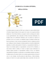 Neuroanatomia de La Columna Vertebral