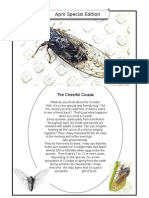 The Chirpy Cicada