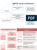 Regimen MgSO4 Intravena