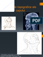 M2 Sem II Curs 2 Regiunile Topografice Ale Capului