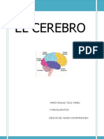 Cerebro (1)