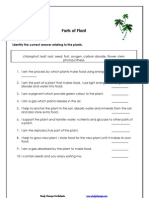 Parts of Plant: Identify The Correct Answer Relating To The Plants