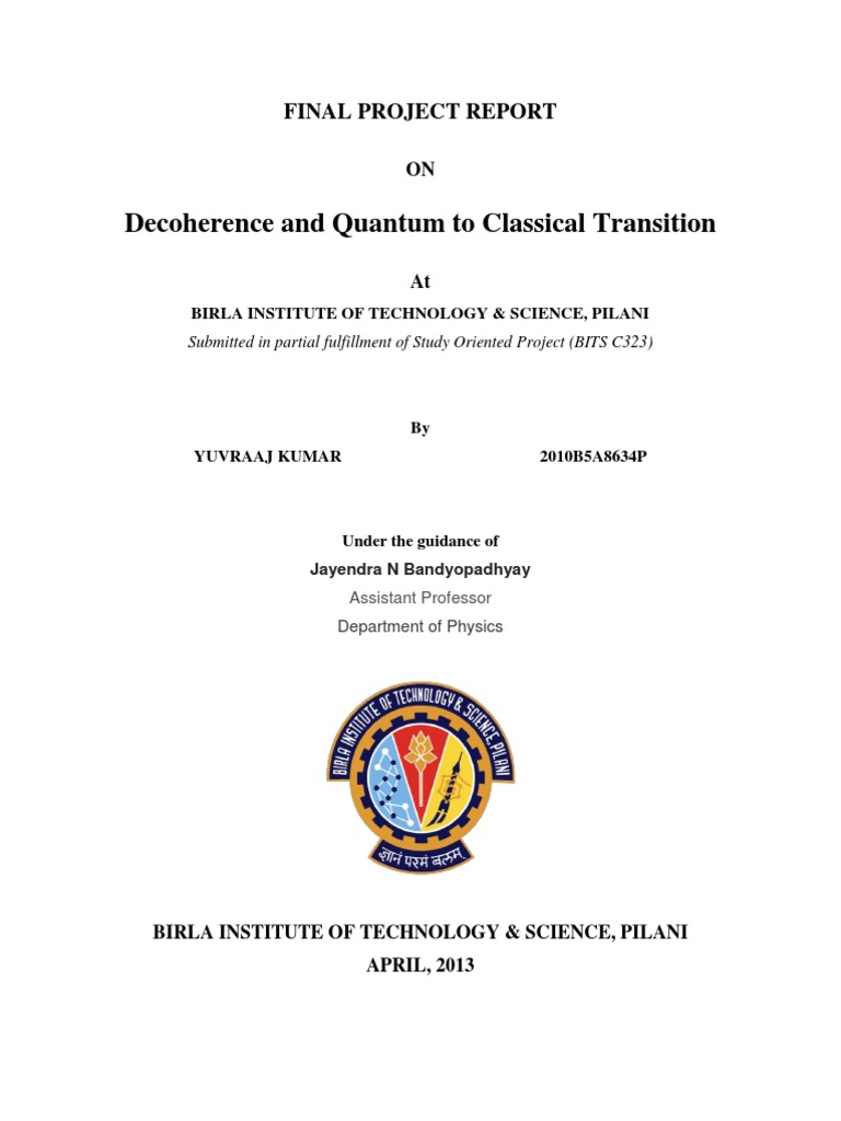 Final Project Report PDF | PDF | Quantum Entanglement | Quantum Mechanics