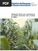 Adubação verde com Leguminosas com Milho