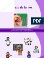 Manejo de La Voz Capacitacion