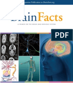 Brain Facts - A Primer on the Brain and Nervous System (Brainfacts.org, 2012) Excellent
