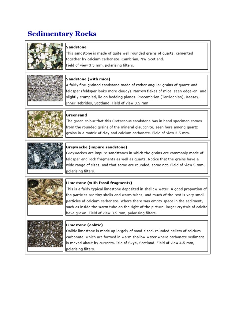 Rocks Under Microscope Rock (Geology) Igneous Rock