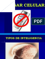 Tipos de Inteligencias Consuelo